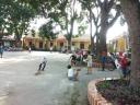 lao dong 1.jpg - 