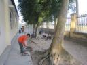 lao dong ve sinh moi truong 1.jpg - 