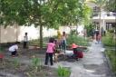 trong lai va cham soc cong trinh mang non.jpg - 