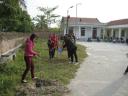 tet trong cay 2 - 