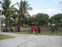 tet trong cay 3 - 